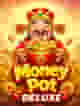 Money Pot DELUXE